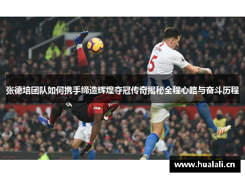 张德培团队如何携手缔造辉煌夺冠传奇揭秘全程心路与奋斗历程