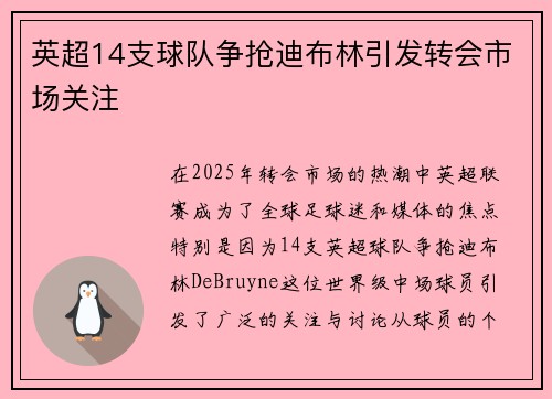 英超14支球队争抢迪布林引发转会市场关注